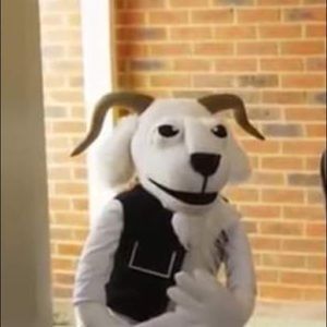 Meet your Posher, Alex